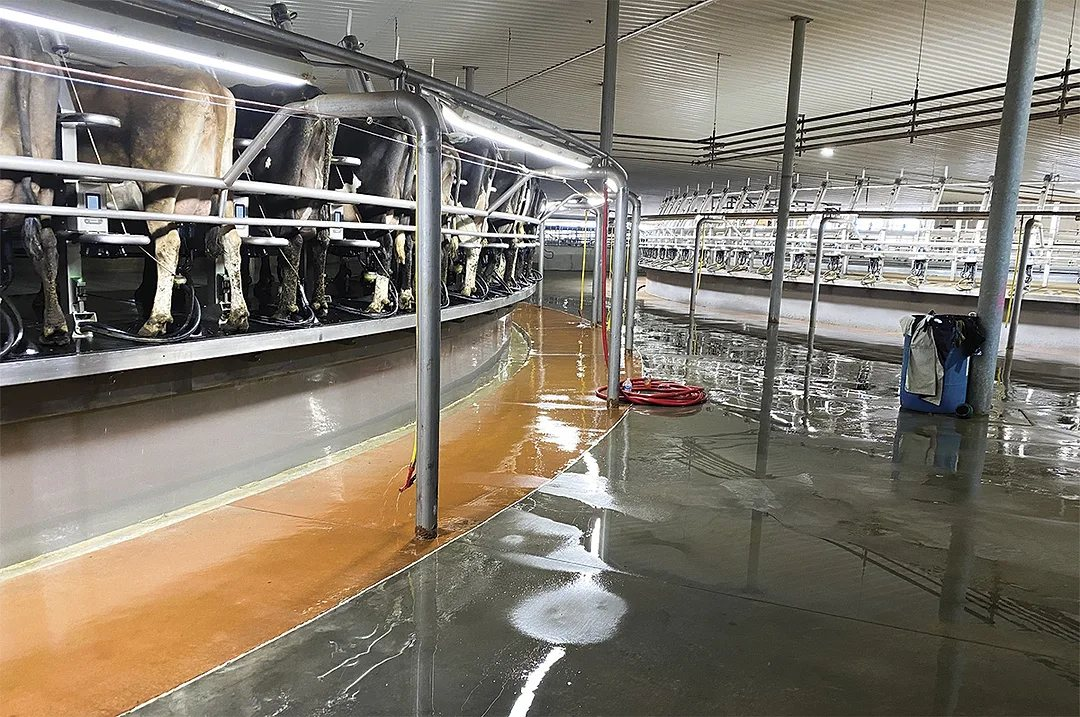 Large agricultural dairy facility with durable concrete surfaces